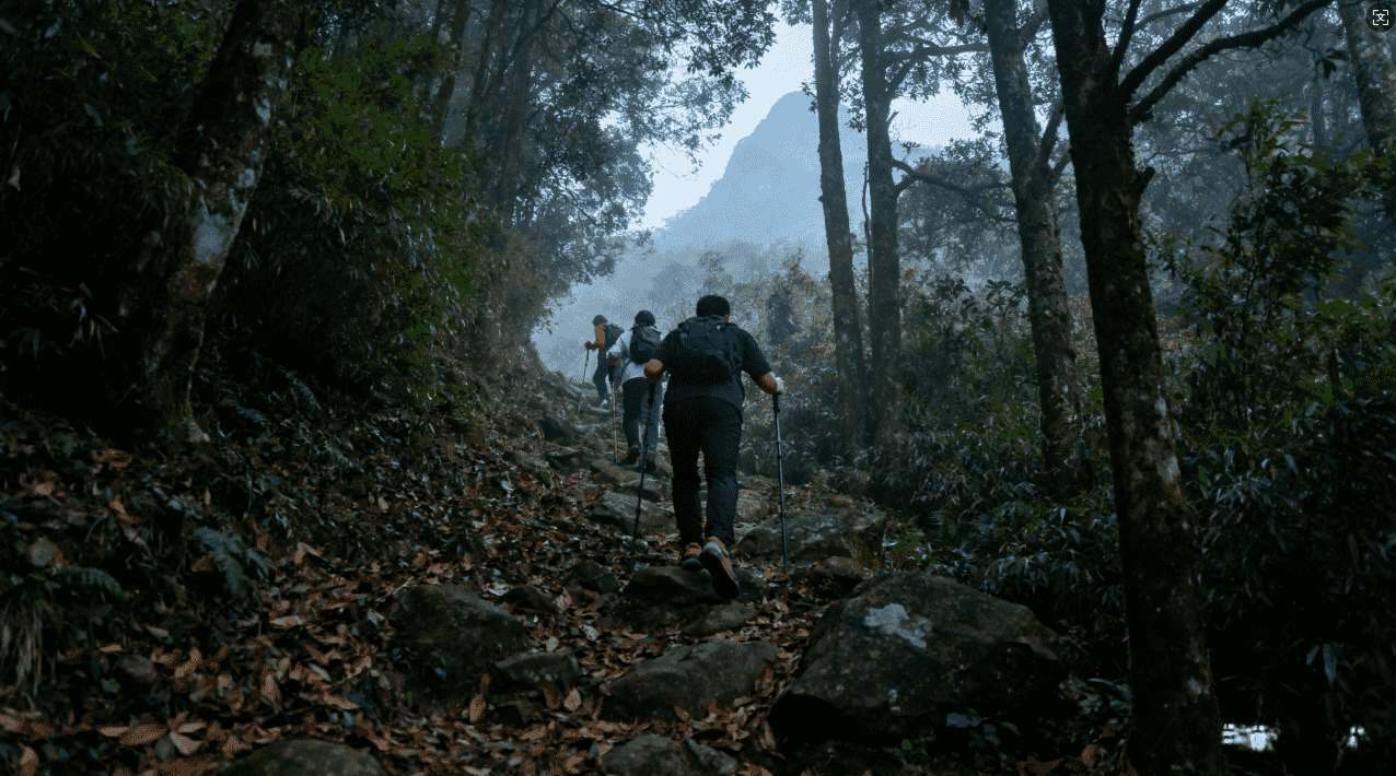 最新天行加速器会员免费账号分享与详细使用攻略大全